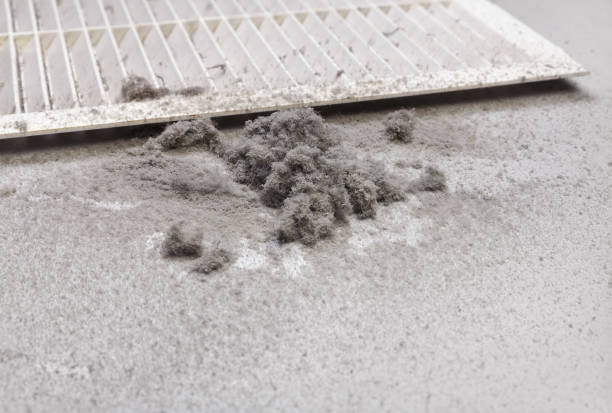 Air Duct Mold Removal in Live Oak, CA